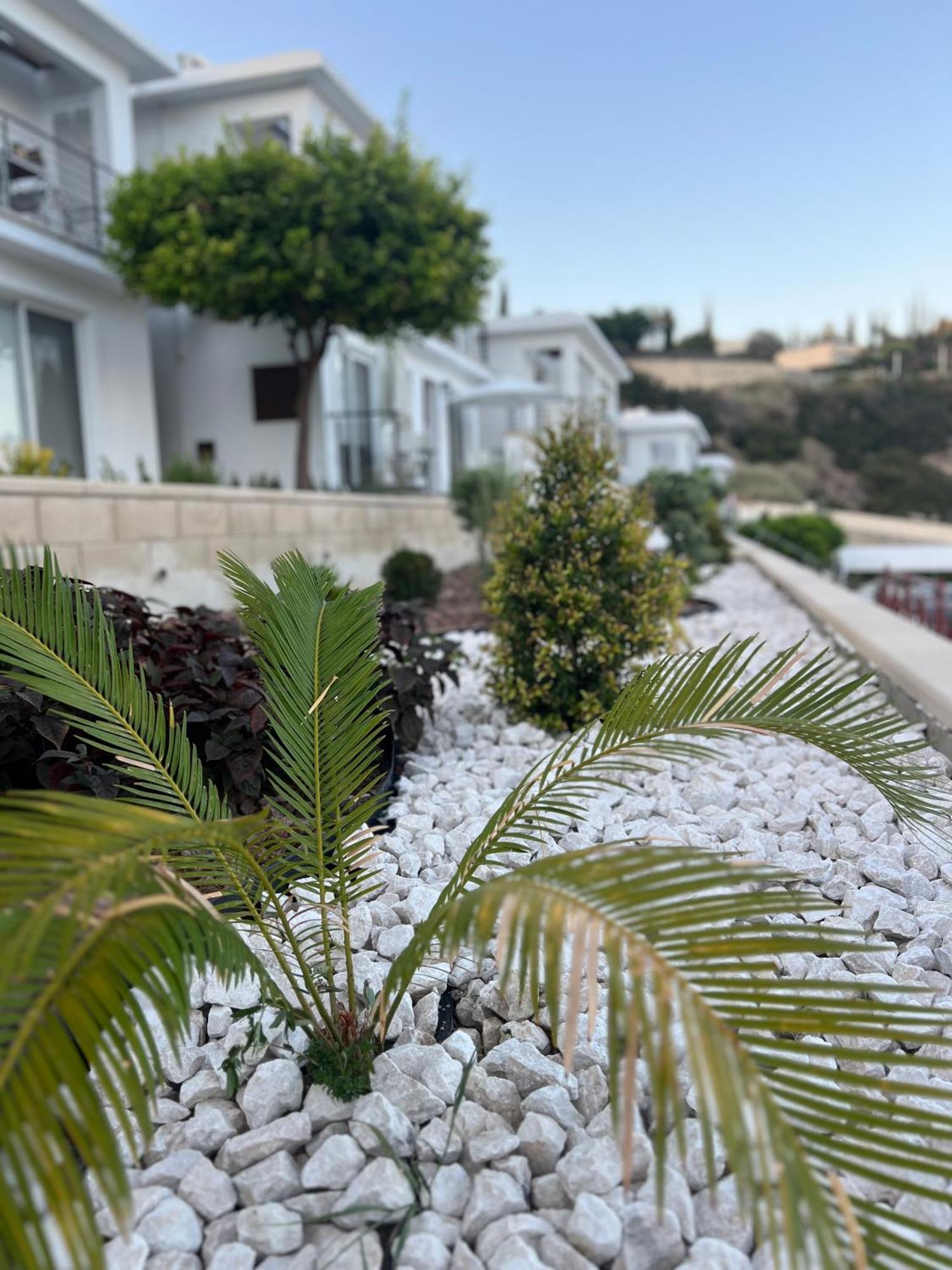 Pissouri Image Daire Dış mekan fotoğraf